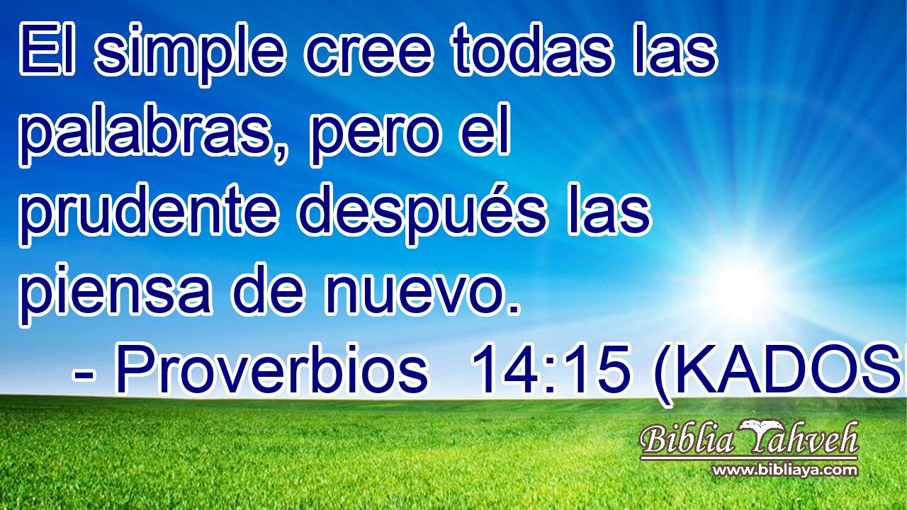  El simple cree todas las palabras, pero el prudente después las piensa de nuevo. 