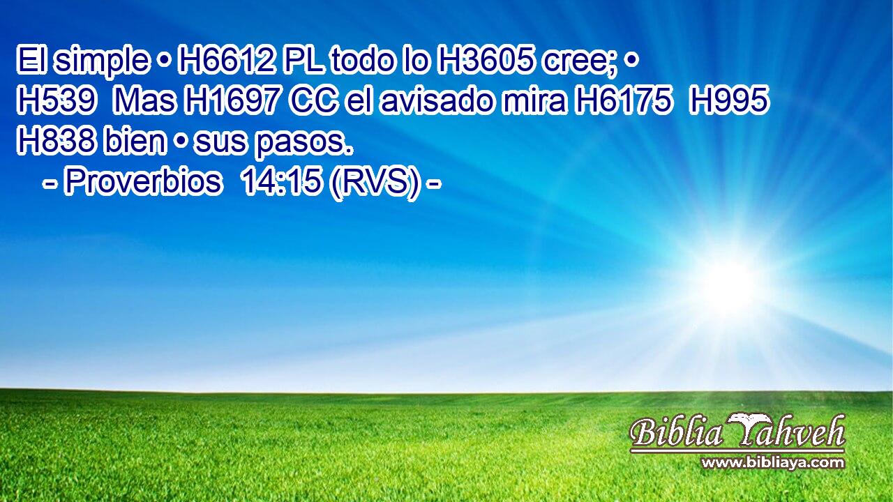 El simple • H6612 PL todo lo H3605 cree; • H539  Mas H1697 CC el avisado mira H6175  H995 H838 bien • sus pasos. 