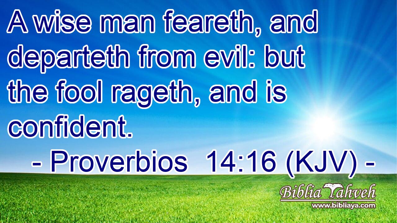 A wise man feareth, and departeth from evil: but the fool rageth, and is confident.