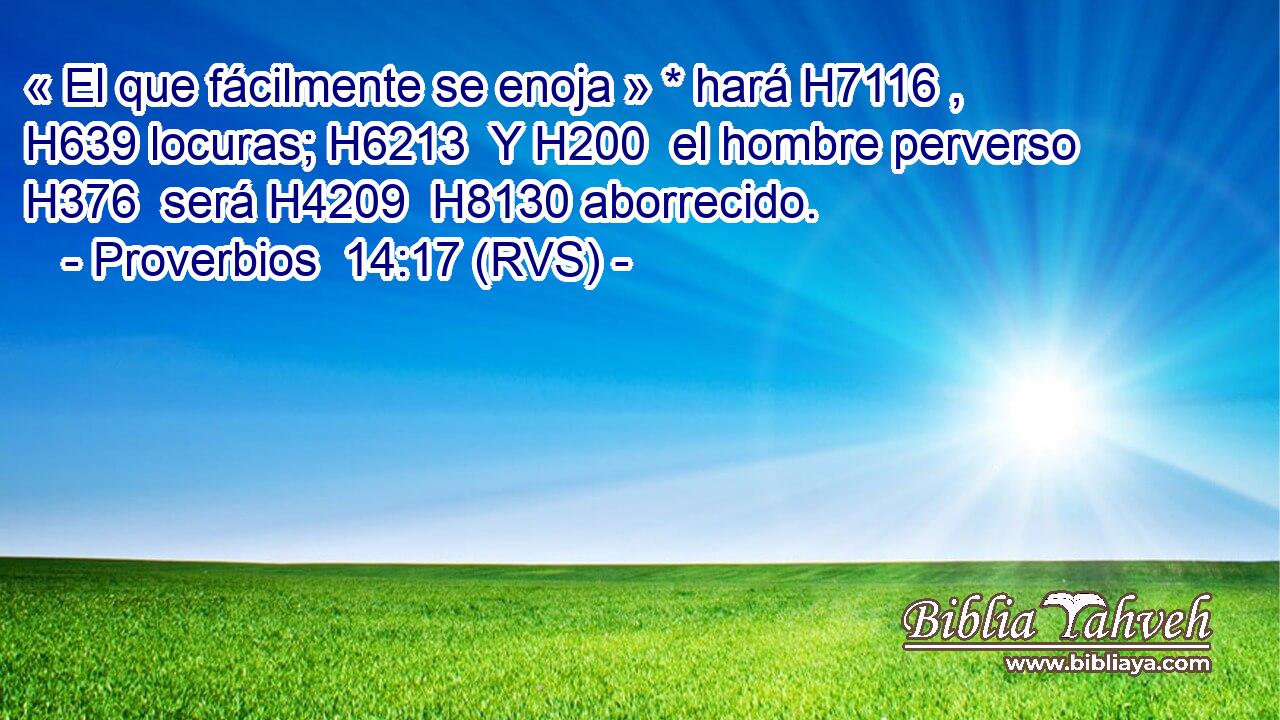 « El que fácilmente se enoja » * hará H7116 ,  H639 locuras; H6213  Y H200  el hombre perverso H376  será H4209  H8130 aborrecido. 