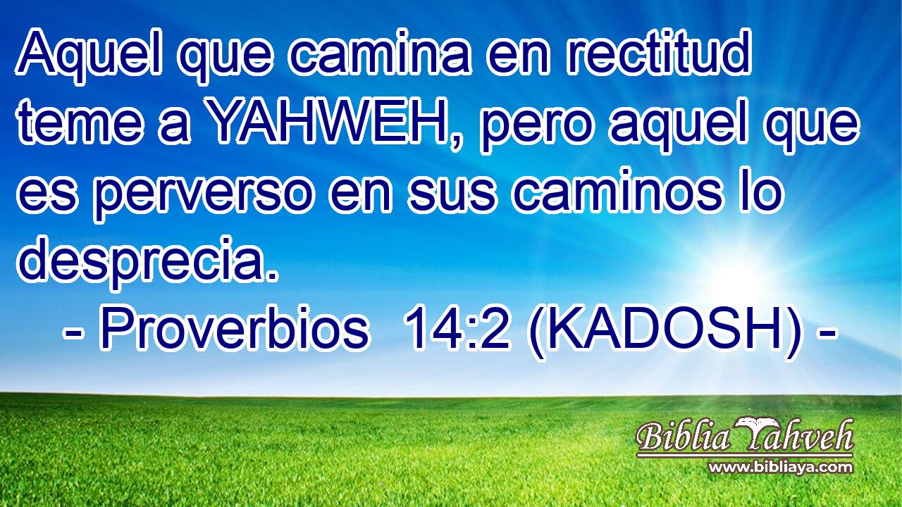  Aquel que camina en rectitud teme a YAHWEH, pero aquel que es perverso en sus caminos lo desprecia. 