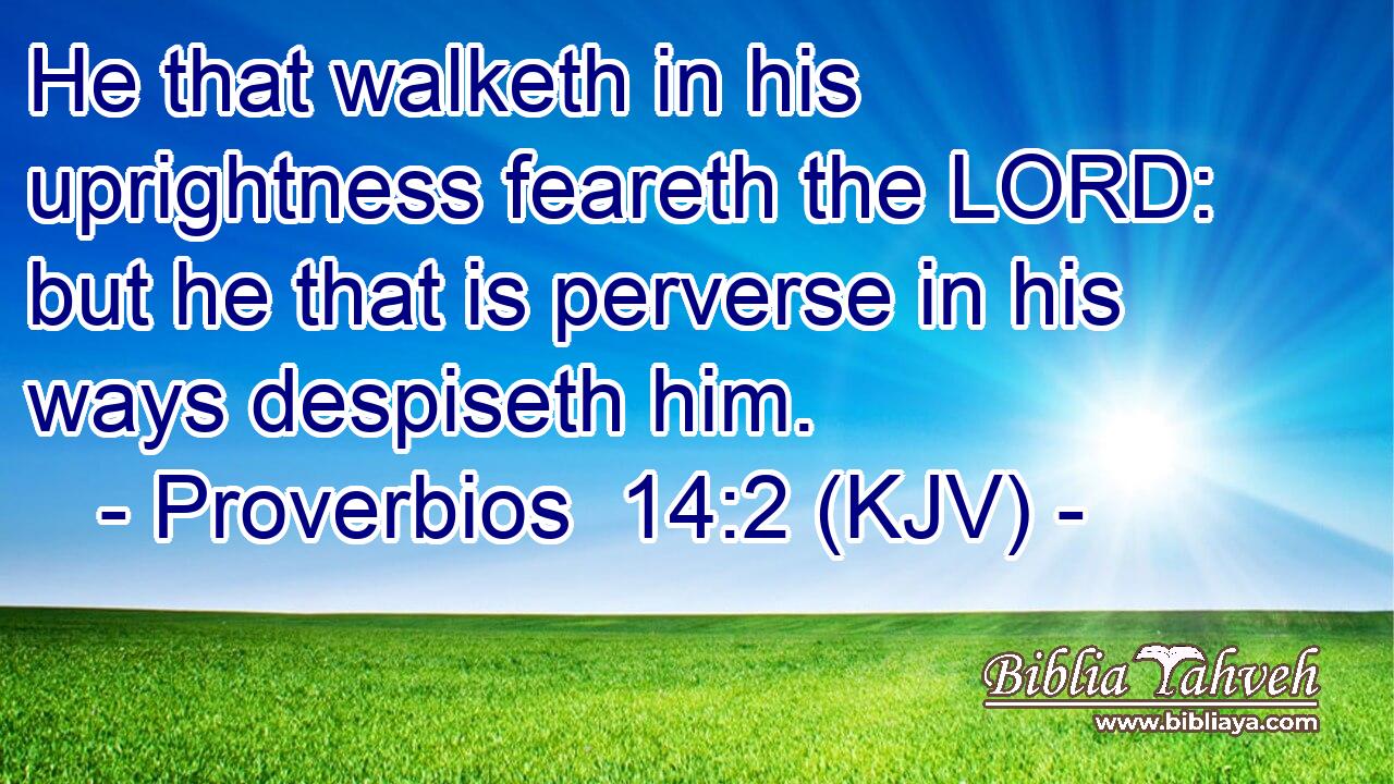He that walketh in his uprightness feareth the LORD: but he that is perverse in his ways despiseth him.