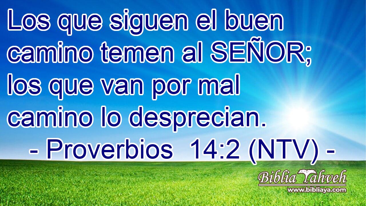 Los que siguen el buen camino temen al SEÑOR; los que van por mal camino lo desprecian.