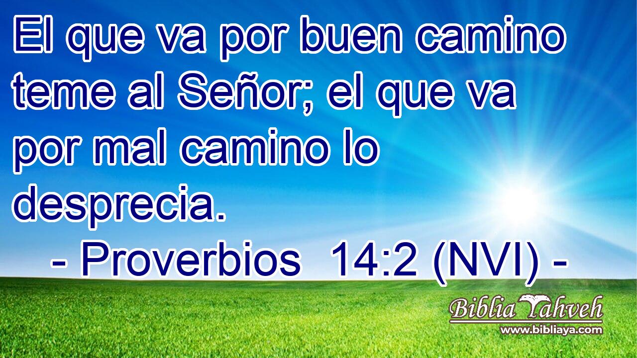  El que va por buen camino teme al Señor; el que va por mal camino lo desprecia. 
