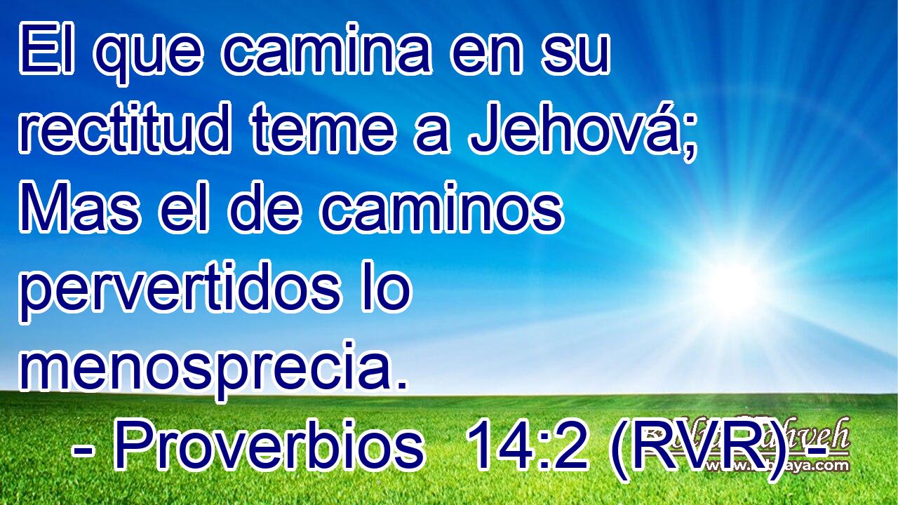 El que camina en su rectitud teme a Jehová; Mas el de caminos pervertidos lo menosprecia.