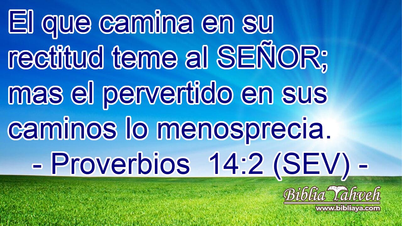 El que camina en su rectitud teme al SEÑOR; mas el pervertido en sus caminos lo menosprecia.