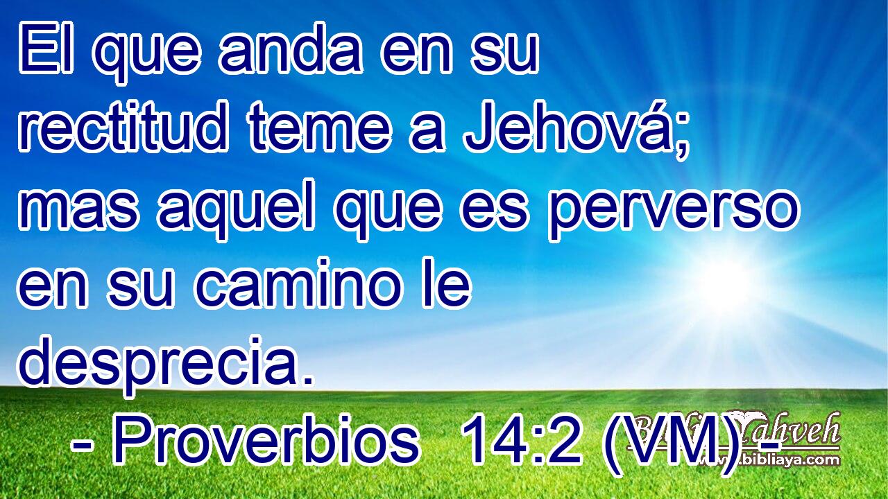  El que anda en su rectitud teme a Jehová; mas aquel que es perverso en su camino le desprecia. 