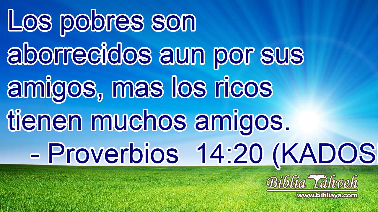  Los pobres son aborrecidos aun por sus amigos, mas los ricos tienen muchos amigos. 