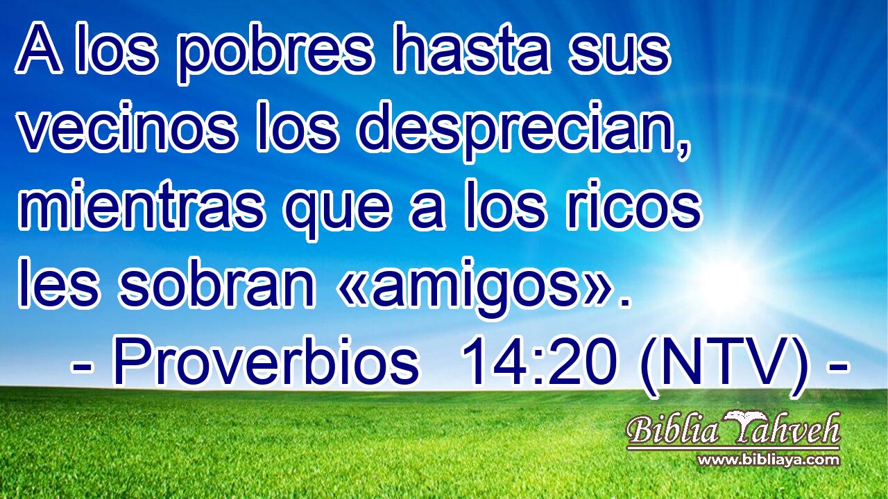 A los pobres hasta sus vecinos los desprecian, mientras que a los ricos les sobran «amigos».