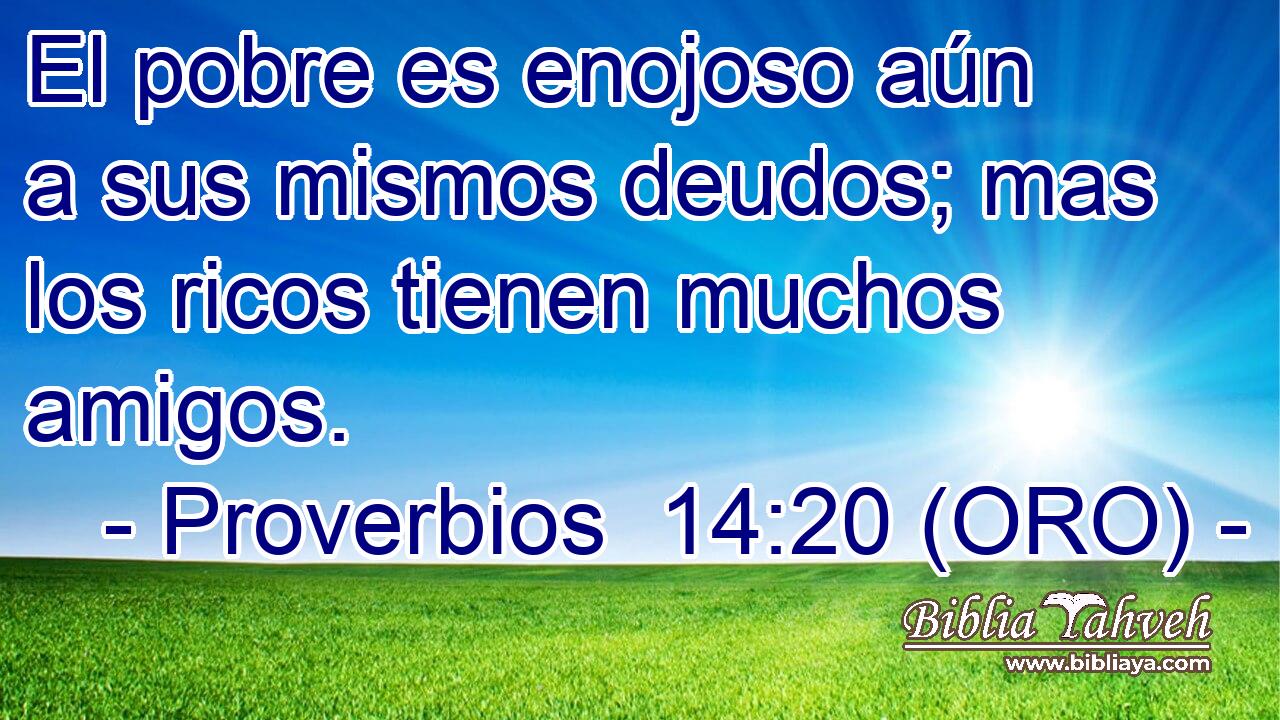  El pobre es enojoso aún a sus mismos deudos; mas los ricos tienen muchos amigos. 