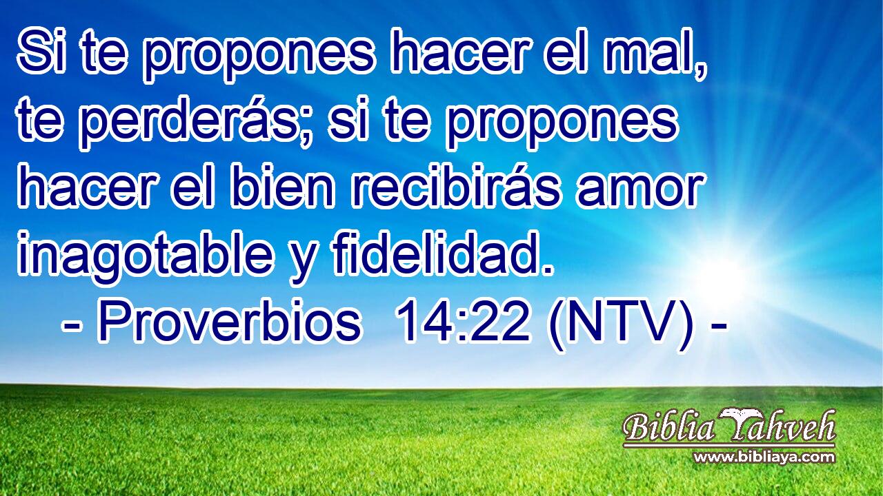 Si te propones hacer el mal, te perderás; si te propones hacer el bien recibirás amor inagotable y fidelidad.