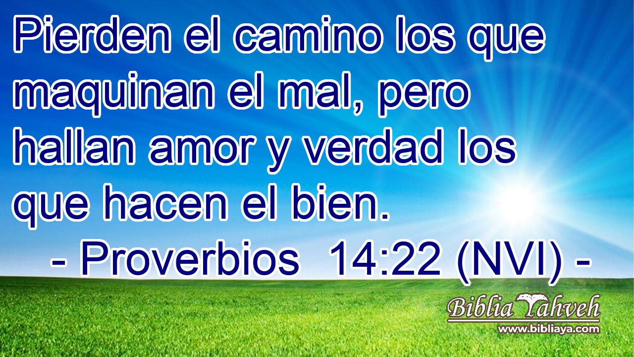  Pierden el camino los que maquinan el mal, pero hallan amor y verdad los que hacen el bien. 