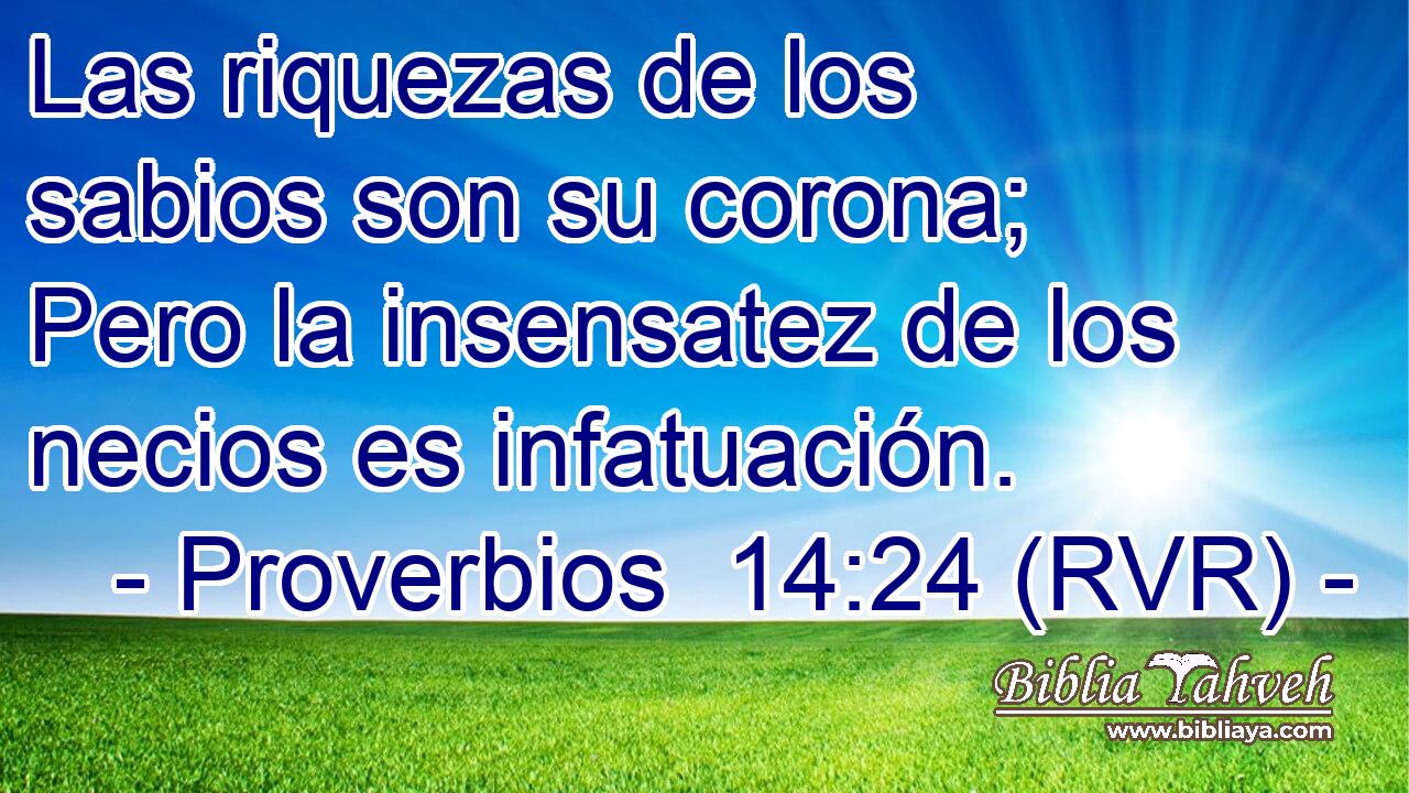 Las riquezas de los sabios son su corona; Pero la insensatez de los necios es infatuación.