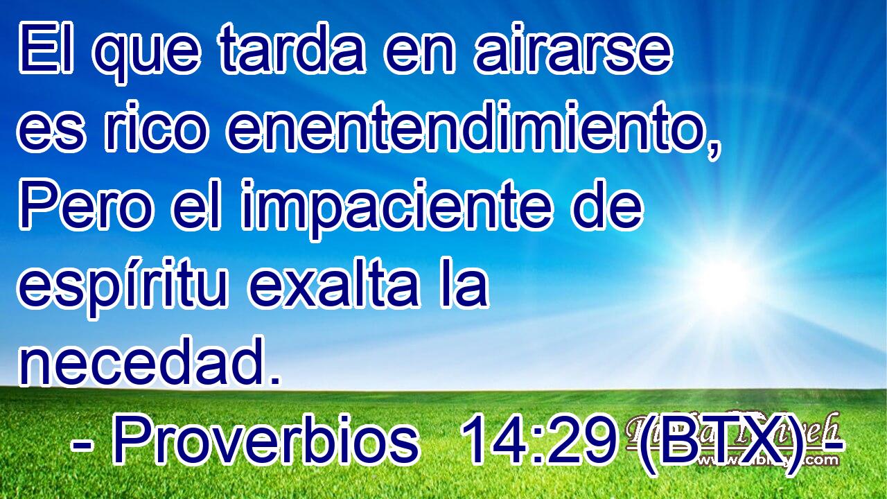 El que tarda en airarse es rico enentendimiento, Pero el impaciente de espíritu exalta la necedad.