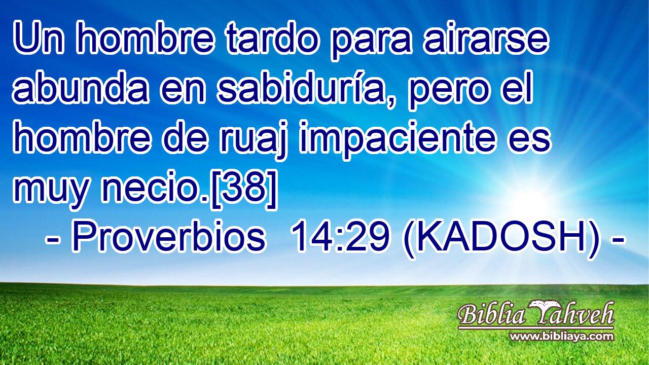  Un hombre tardo para airarse abunda en sabiduría, pero el hombre de ruaj impaciente es muy necio.[38] 