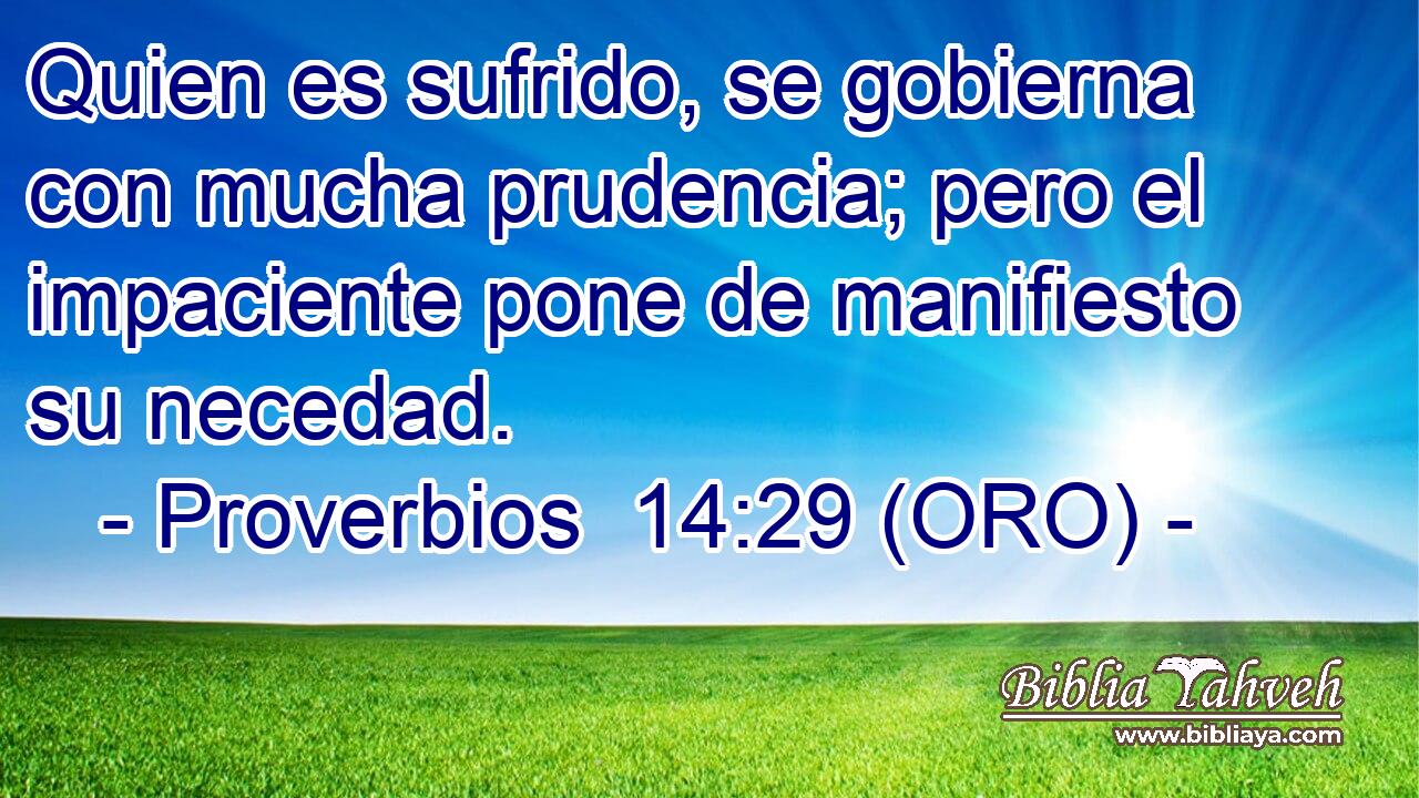  Quien es sufrido, se gobierna con mucha prudencia; pero el impaciente pone de manifiesto su necedad. 
