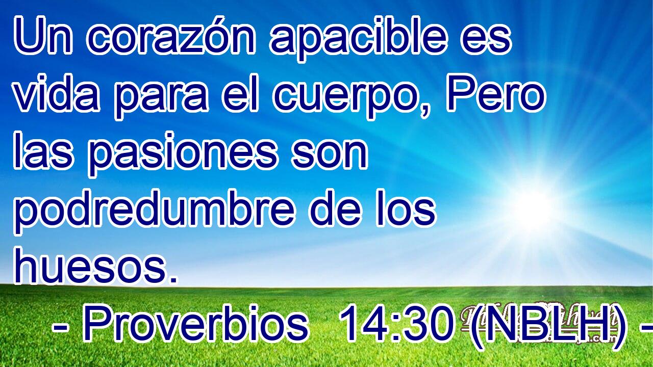  Un corazón apacible es vida para el cuerpo, Pero las pasiones son podredumbre de los huesos. 