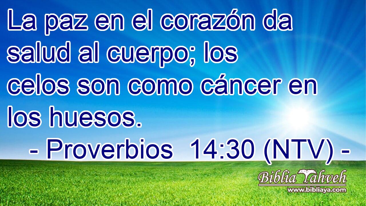 La paz en el corazón da salud al cuerpo; los celos son como cáncer en los huesos.
