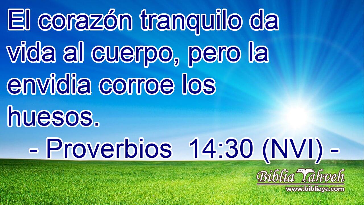  El corazón tranquilo da vida al cuerpo, pero la envidia corroe los huesos. 