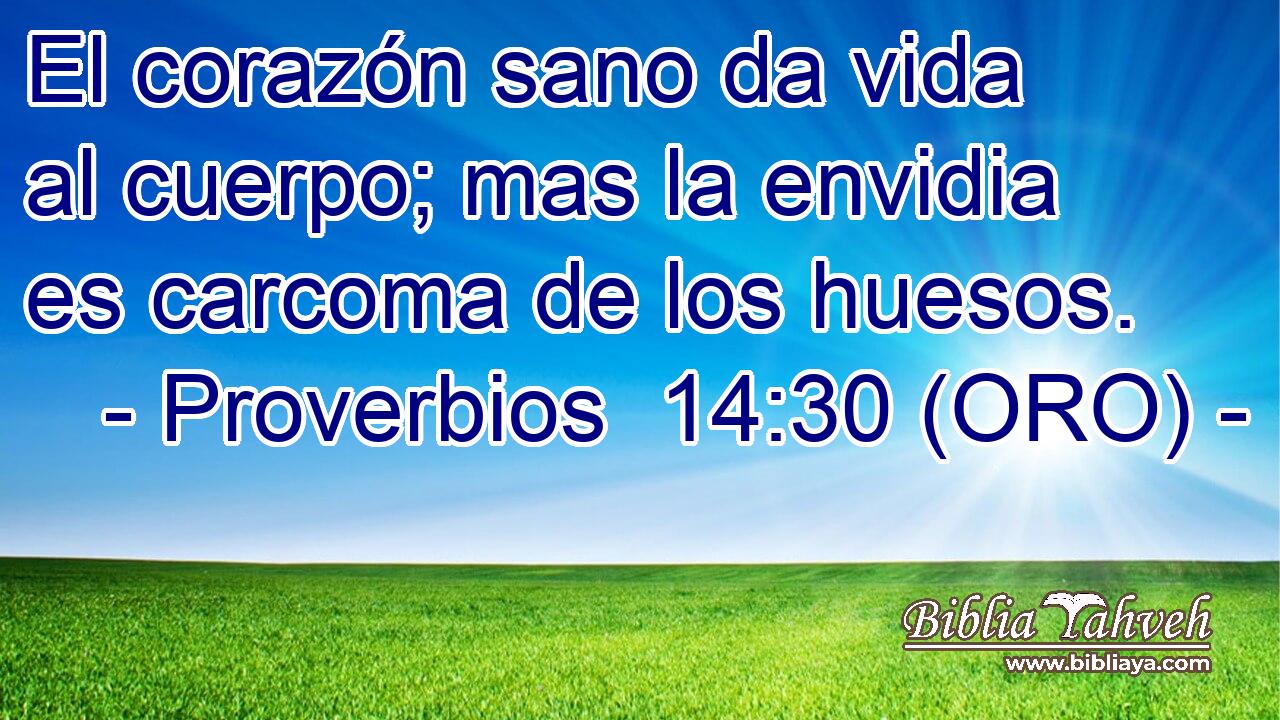  El corazón sano da vida al cuerpo; mas la envidia es carcoma de los huesos. 