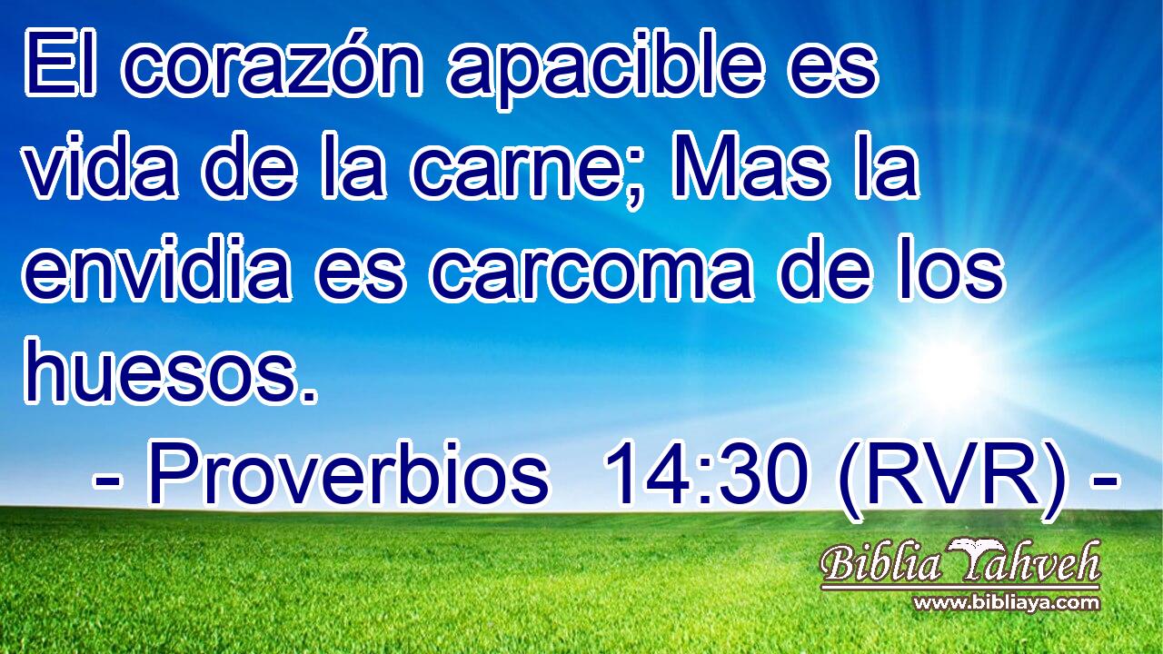 El corazón apacible es vida de la carne; Mas la envidia es carcoma de los huesos.