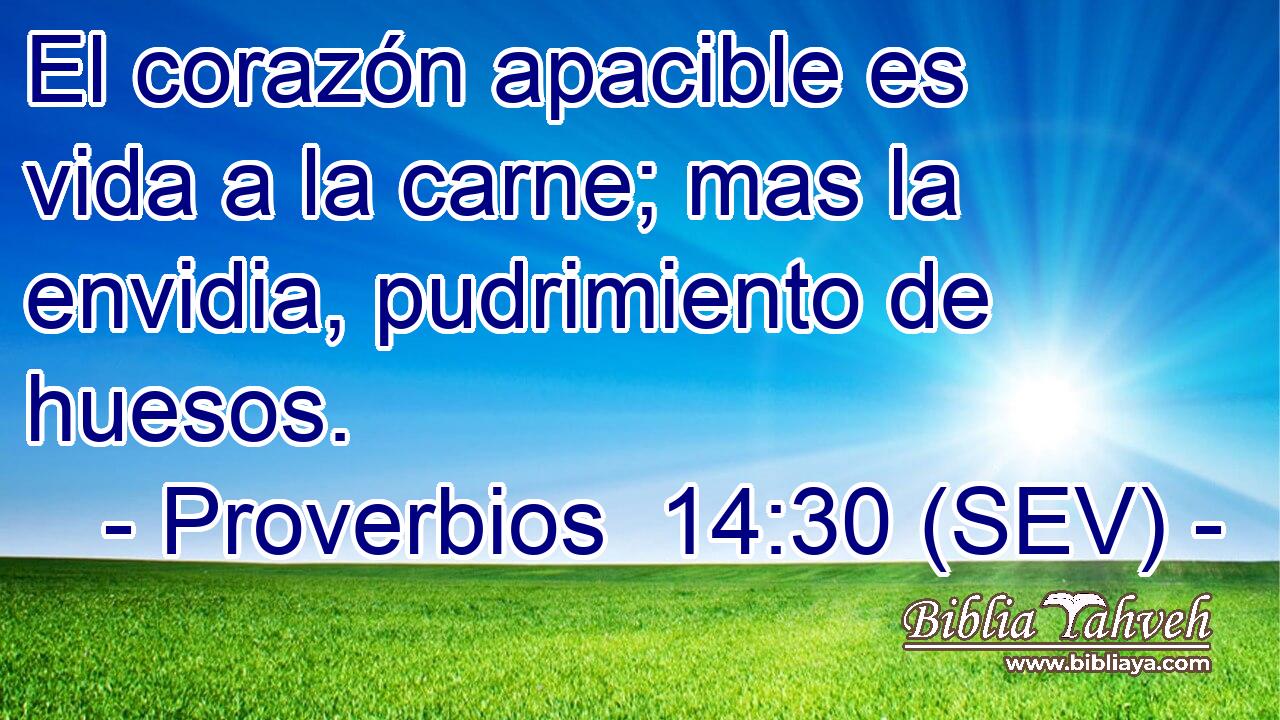 El corazón apacible es vida a la carne; mas la envidia, pudrimiento de huesos.