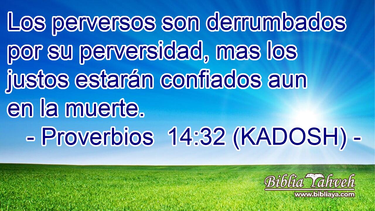  Los perversos son derrumbados por su perversidad, mas los justos estarán confiados aun en la muerte. 