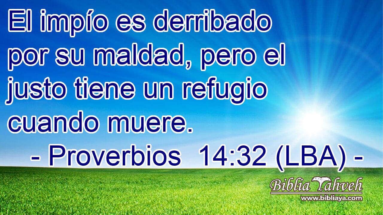 El impío es derribado por su maldad, pero el justo tiene un refugio cuando muere.