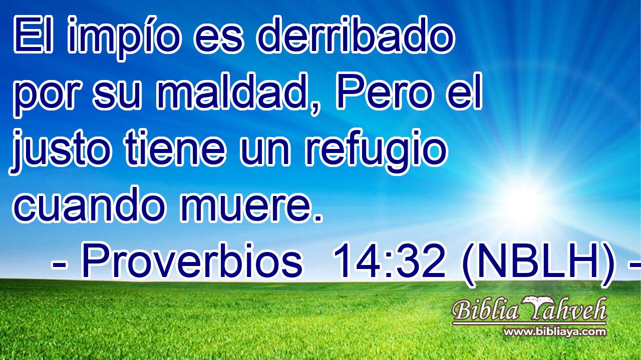 El impío es derribado por su maldad, Pero el justo tiene un refugio cuando muere. 