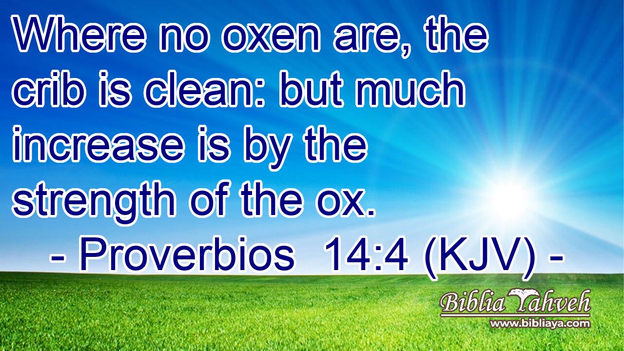Where no oxen are, the crib is clean: but much increase is by the strength of the ox.