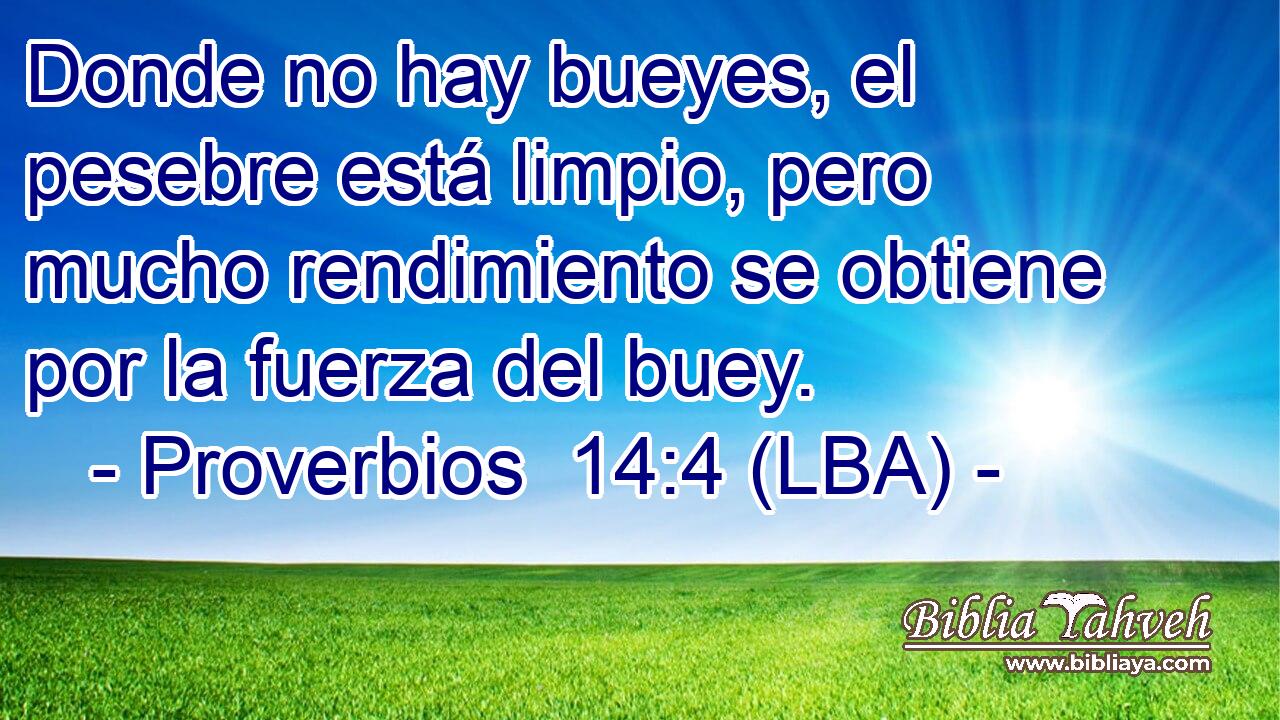 Donde no hay bueyes, el pesebre está limpio, pero mucho rendimiento se obtiene por la fuerza del buey.