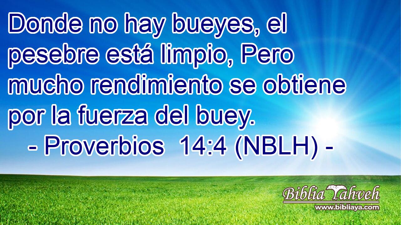  Donde no hay bueyes, el pesebre está limpio, Pero mucho rendimiento se obtiene por la fuerza del buey. 