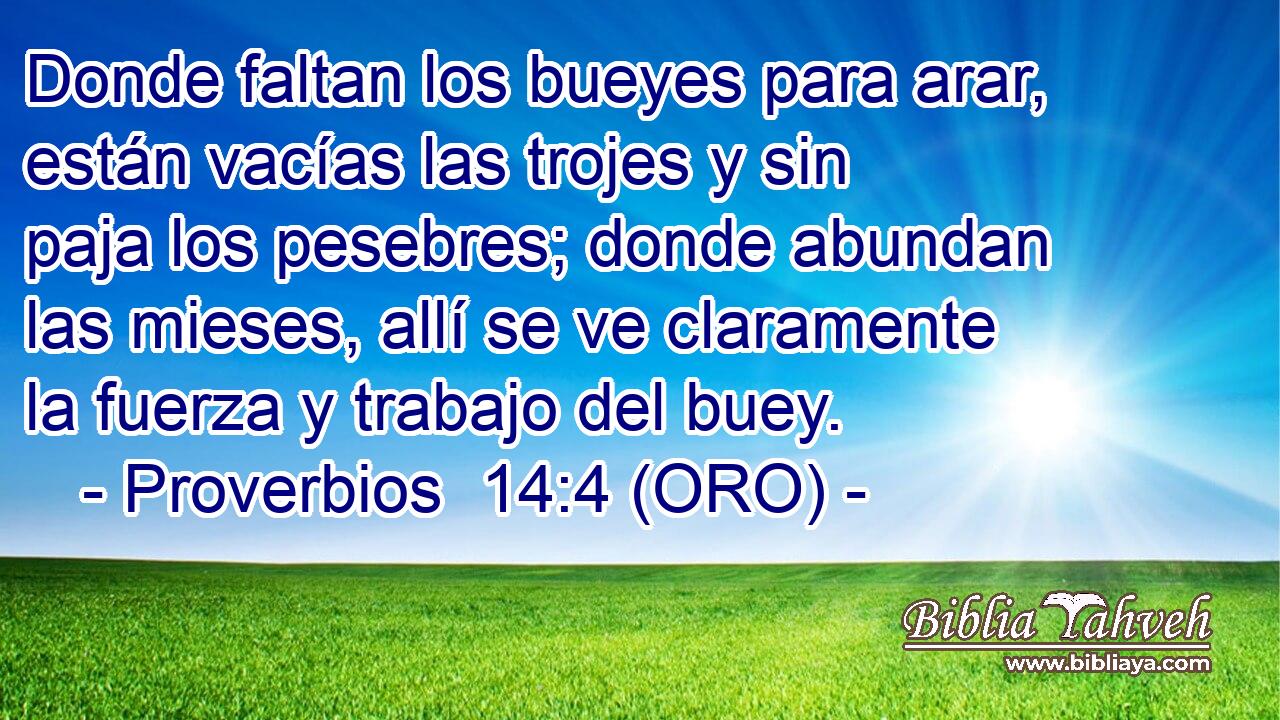  Donde faltan los bueyes para arar, están vacías las trojes y sin paja los pesebres; donde abundan las mieses, allí se ve claramente la fuerza y trabajo del buey. 
