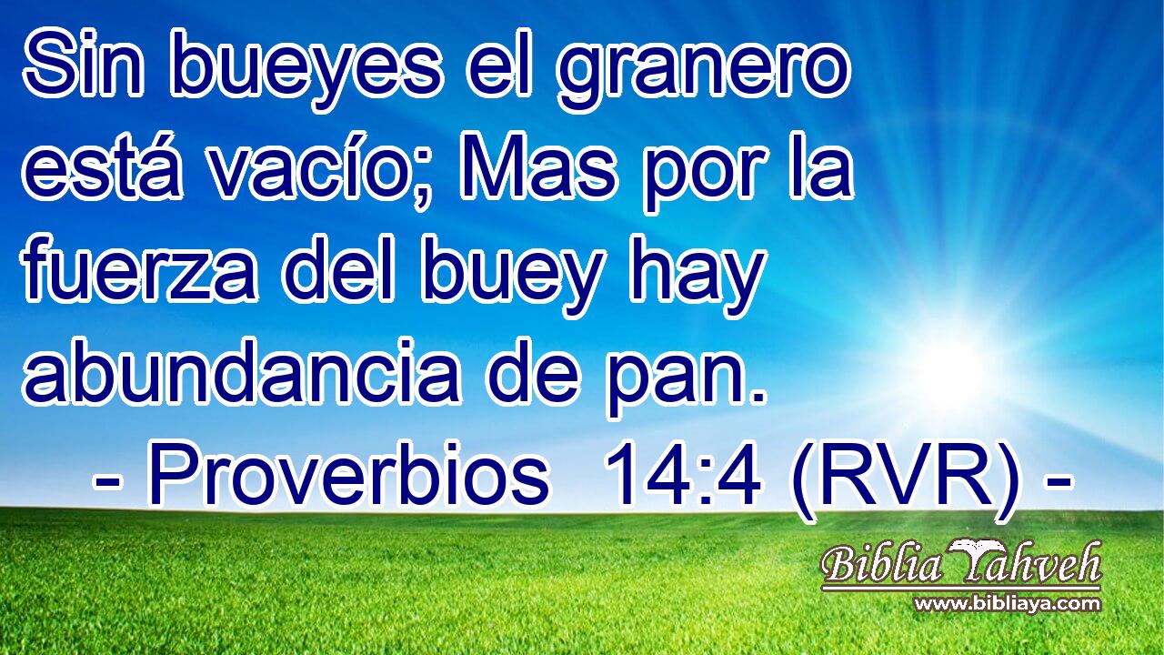 Sin bueyes el granero está vacío; Mas por la fuerza del buey hay abundancia de pan.