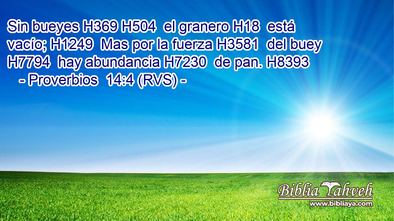 Sin bueyes H369 H504  el granero H18  está vacío; H1249  Mas por la fuerza H3581  del buey H7794  hay abundancia H7230  de pan. H8393  