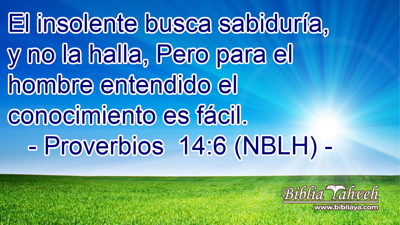  El insolente busca sabiduría, y no la halla, Pero para el hombre entendido el conocimiento es fácil. 