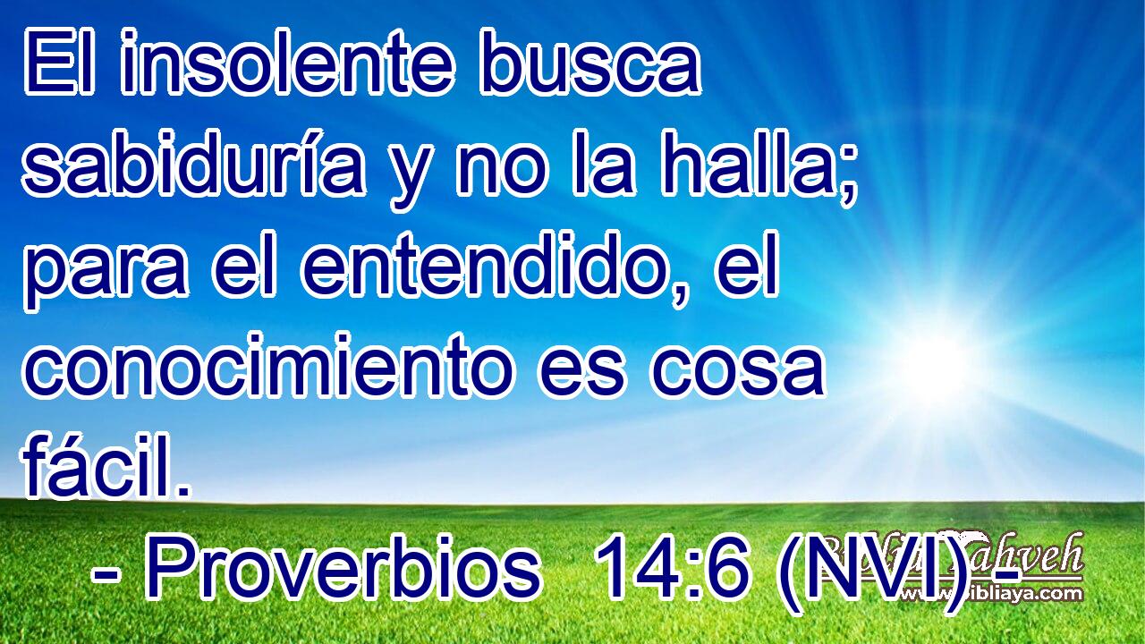  El insolente busca sabiduría y no la halla; para el entendido, el conocimiento es cosa fácil. 
