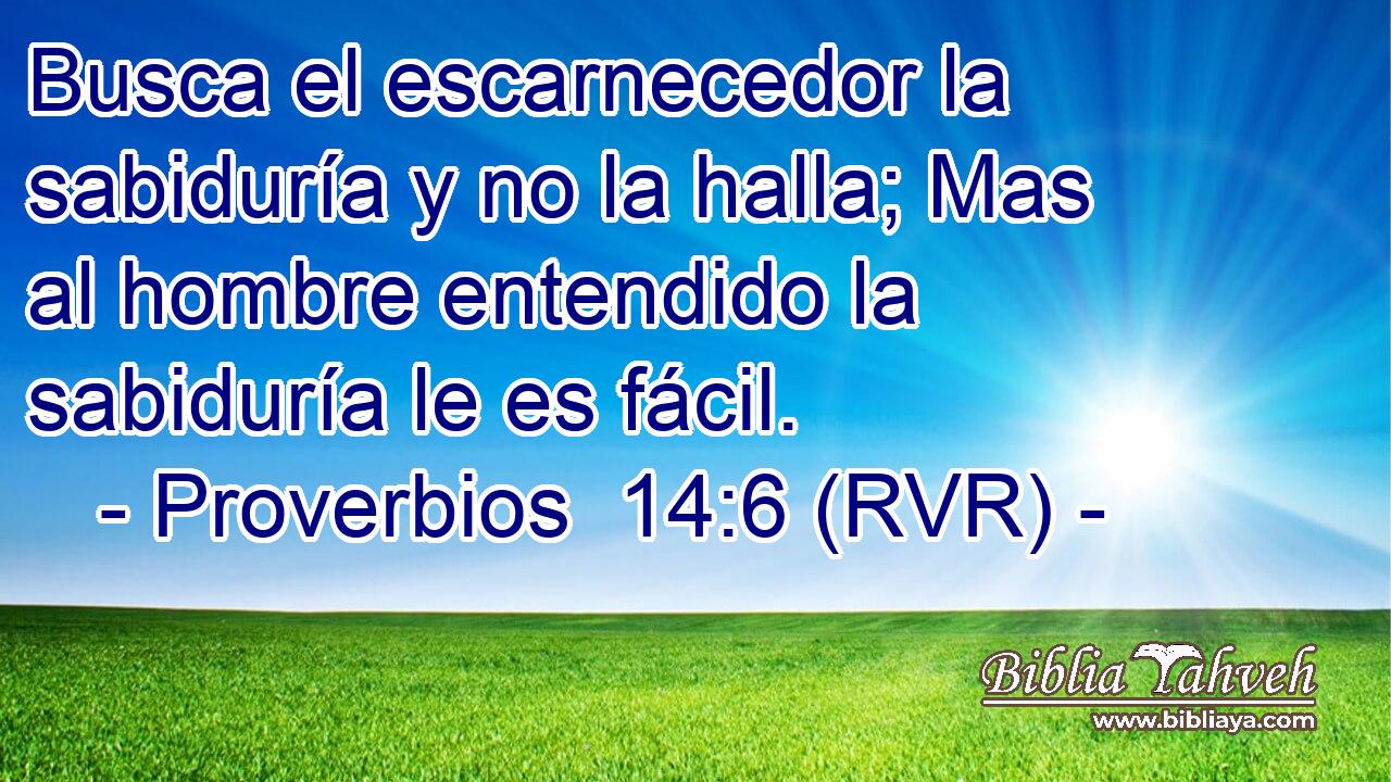 Busca el escarnecedor la sabiduría y no la halla; Mas al hombre entendido la sabiduría le es fácil.
