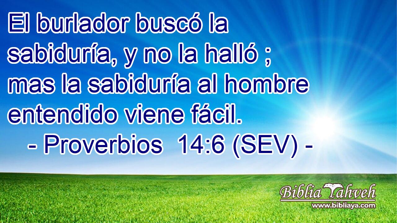 El burlador buscó la sabiduría, y no la halló ; mas la sabiduría al hombre entendido viene fácil.