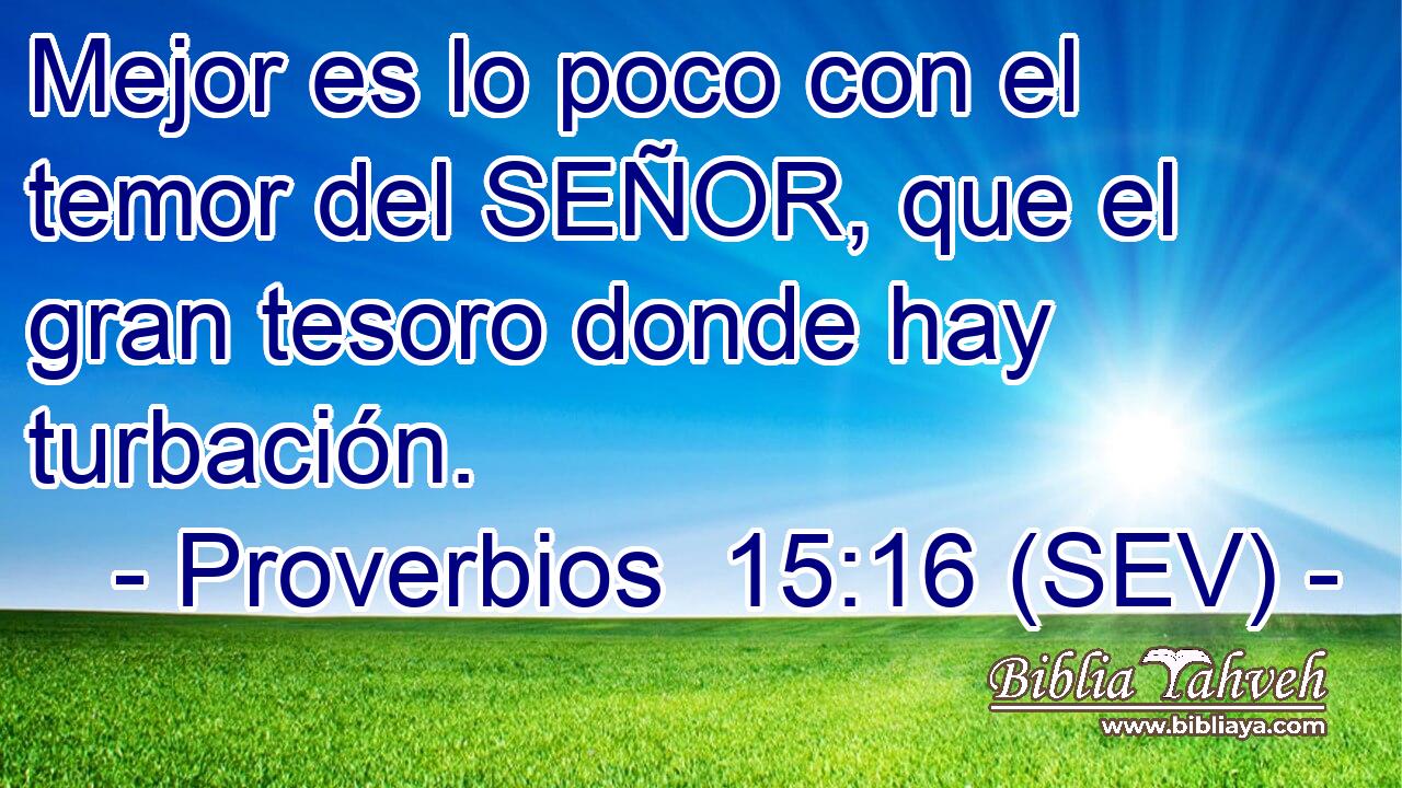 Mejor es lo poco con el temor del SEÑOR, que el gran tesoro donde hay turbación.