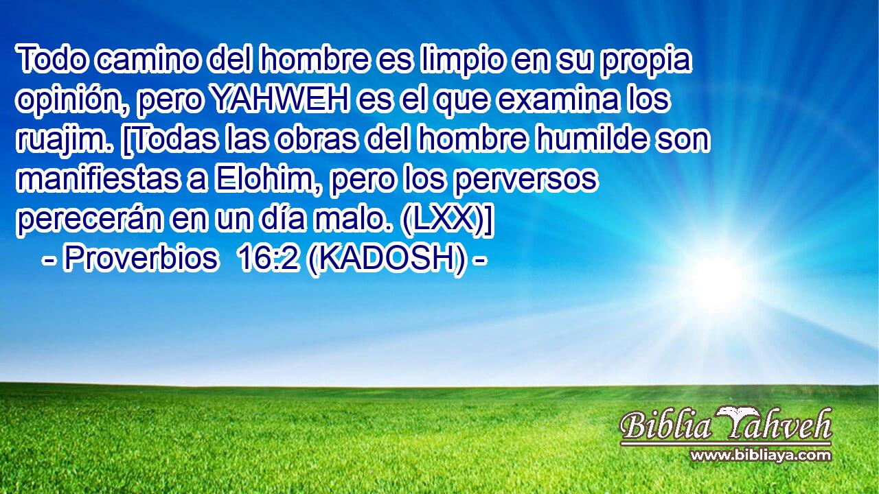  Todo camino del hombre es limpio en su propia opinión, pero YAHWEH es el que examina los ruajim. [Todas las obras del hombre humilde son manifiestas a Elohim, pero los perversos perecerán en un día malo. (LXX)] 