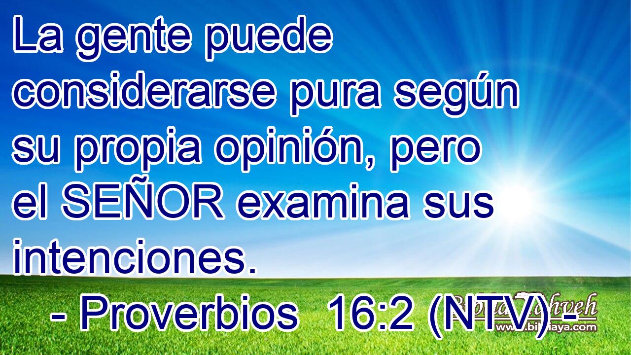 La gente puede considerarse pura según su propia opinión, pero el SEÑOR examina sus intenciones.