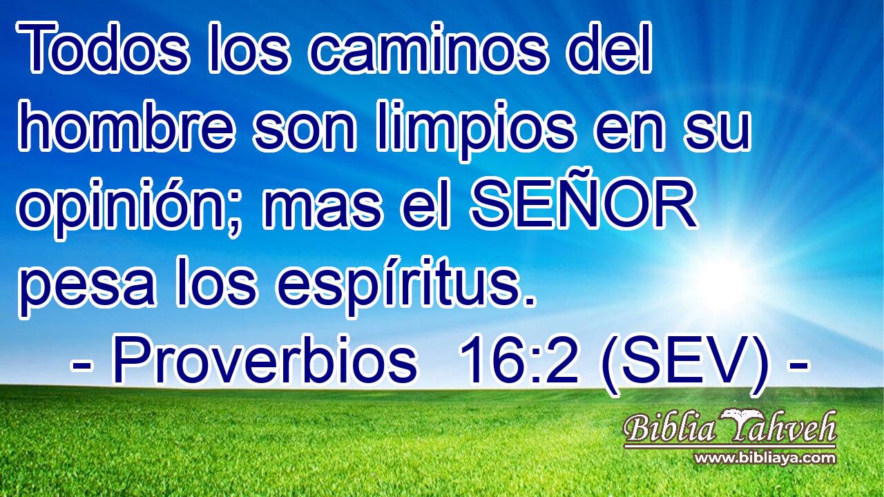 Todos los caminos del hombre son limpios en su opinión; mas el SEÑOR pesa los espíritus.