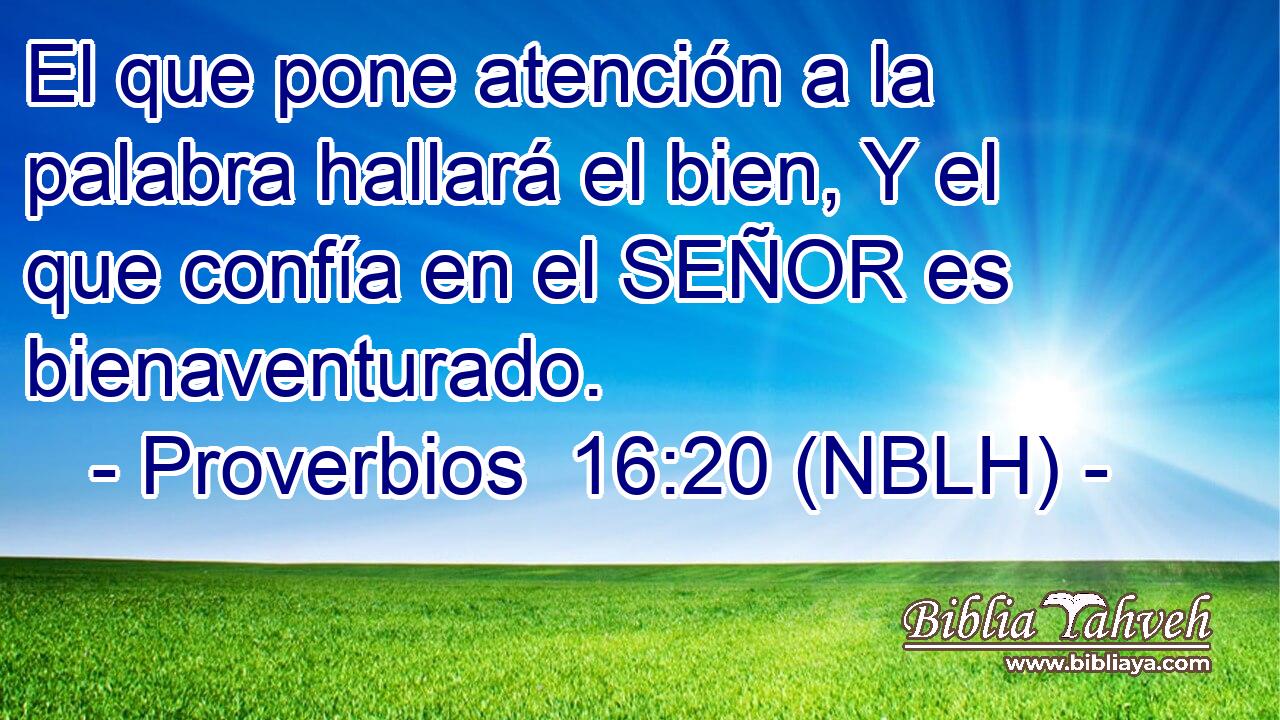  El que pone atención a la palabra hallará el bien, Y el que confía en el SEÑOR es bienaventurado. 