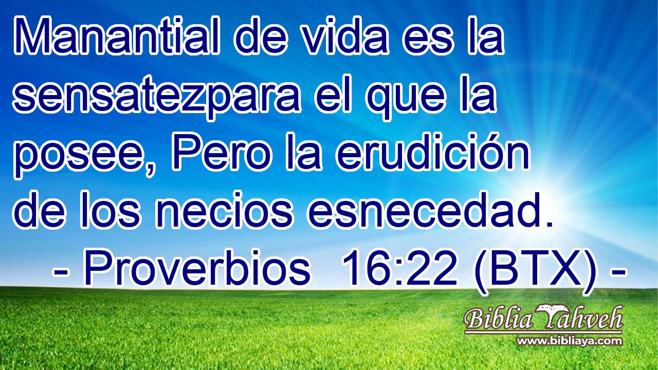 Manantial de vida es la sensatezpara el que la posee, Pero la erudición de los necios esnecedad.