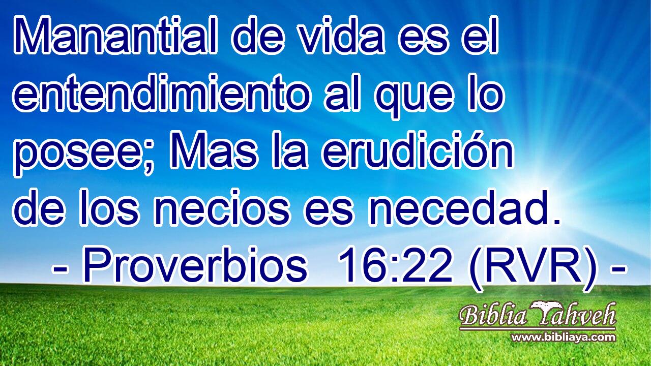 Manantial de vida es el entendimiento al que lo posee; Mas la erudición de los necios es necedad.