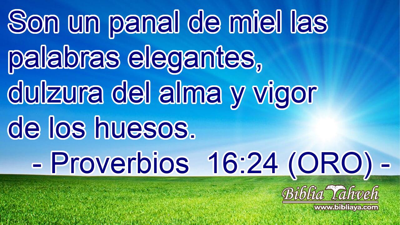  Son un panal de miel las palabras elegantes, dulzura del alma y vigor de los huesos. 