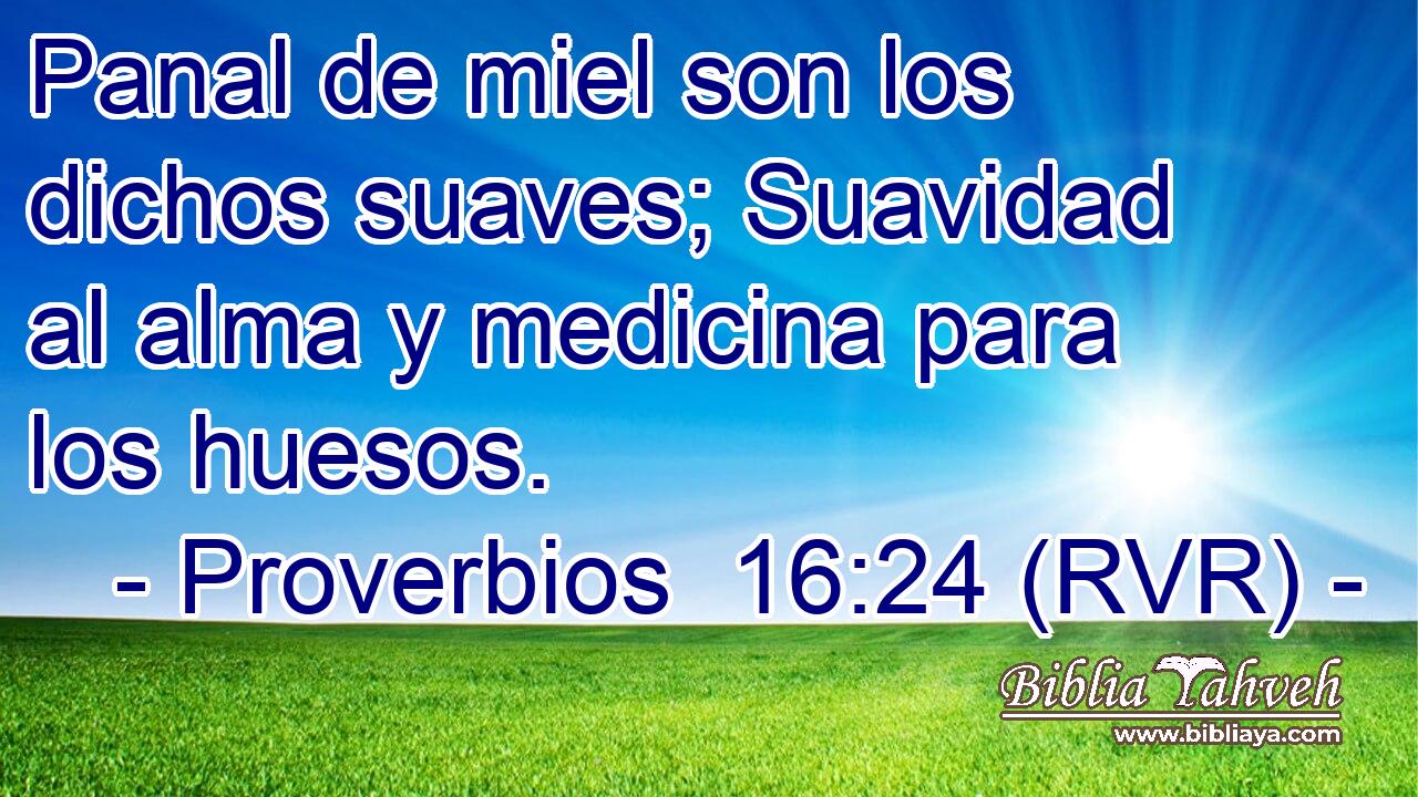 Panal de miel son los dichos suaves; Suavidad al alma y medicina para los huesos.