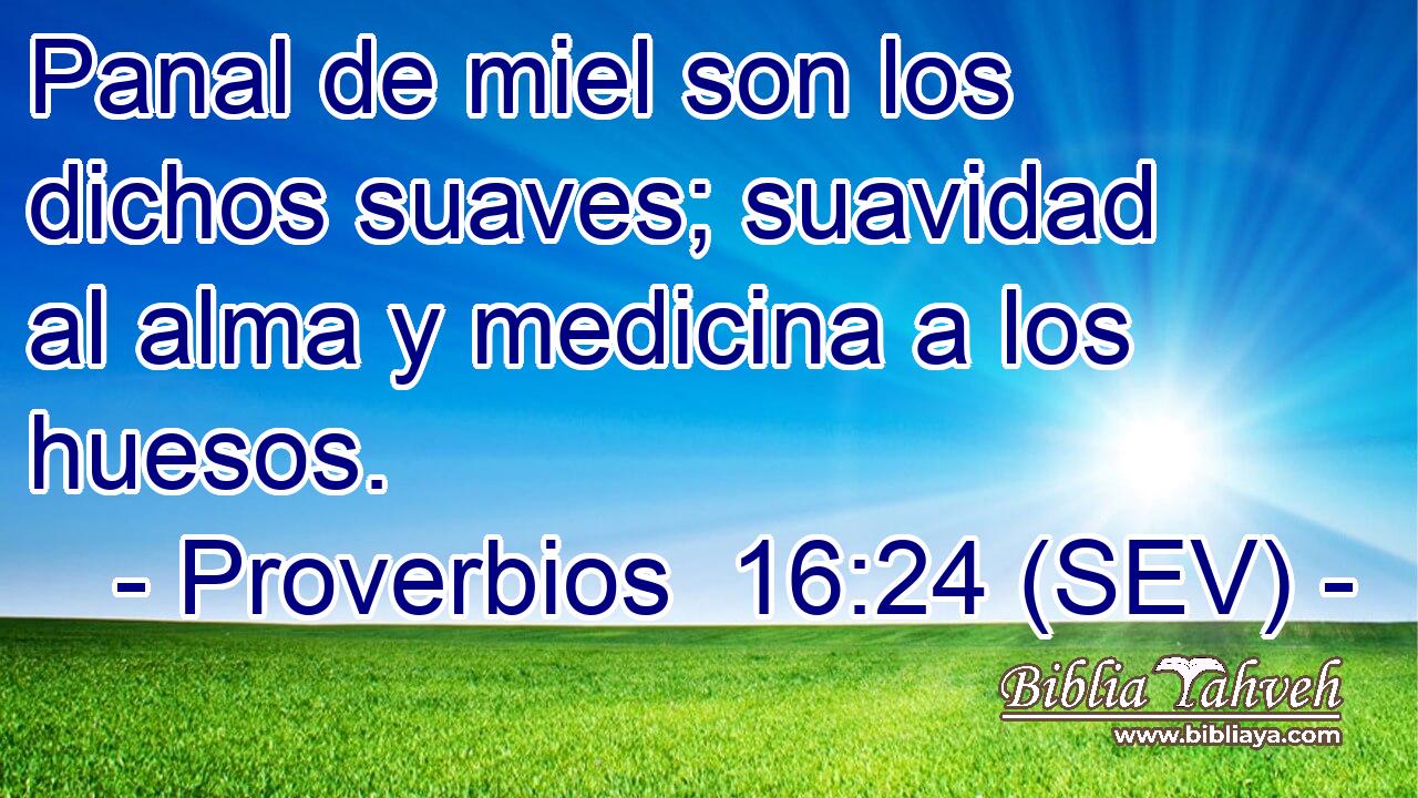 Panal de miel son los dichos suaves; suavidad al alma y medicina a los huesos.