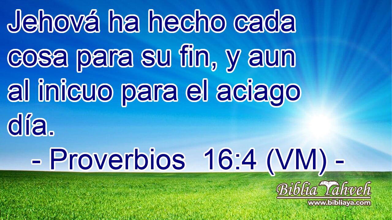  Jehová ha hecho cada cosa para su fin, y aun al inicuo para el aciago día. 